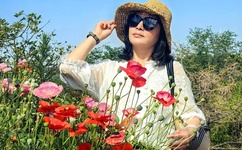 最近日本韩国免费高清观看MV